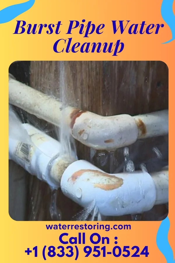 Burst Pipe Water Cleanup in Yeoman, IN