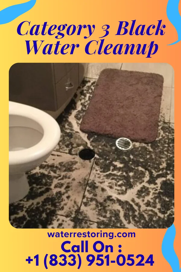 Category 3 Black Water Cleanup in Yeoman, IN