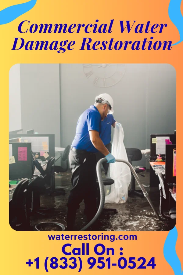 Commercial Water Damage Restoration in Yeoman, IN